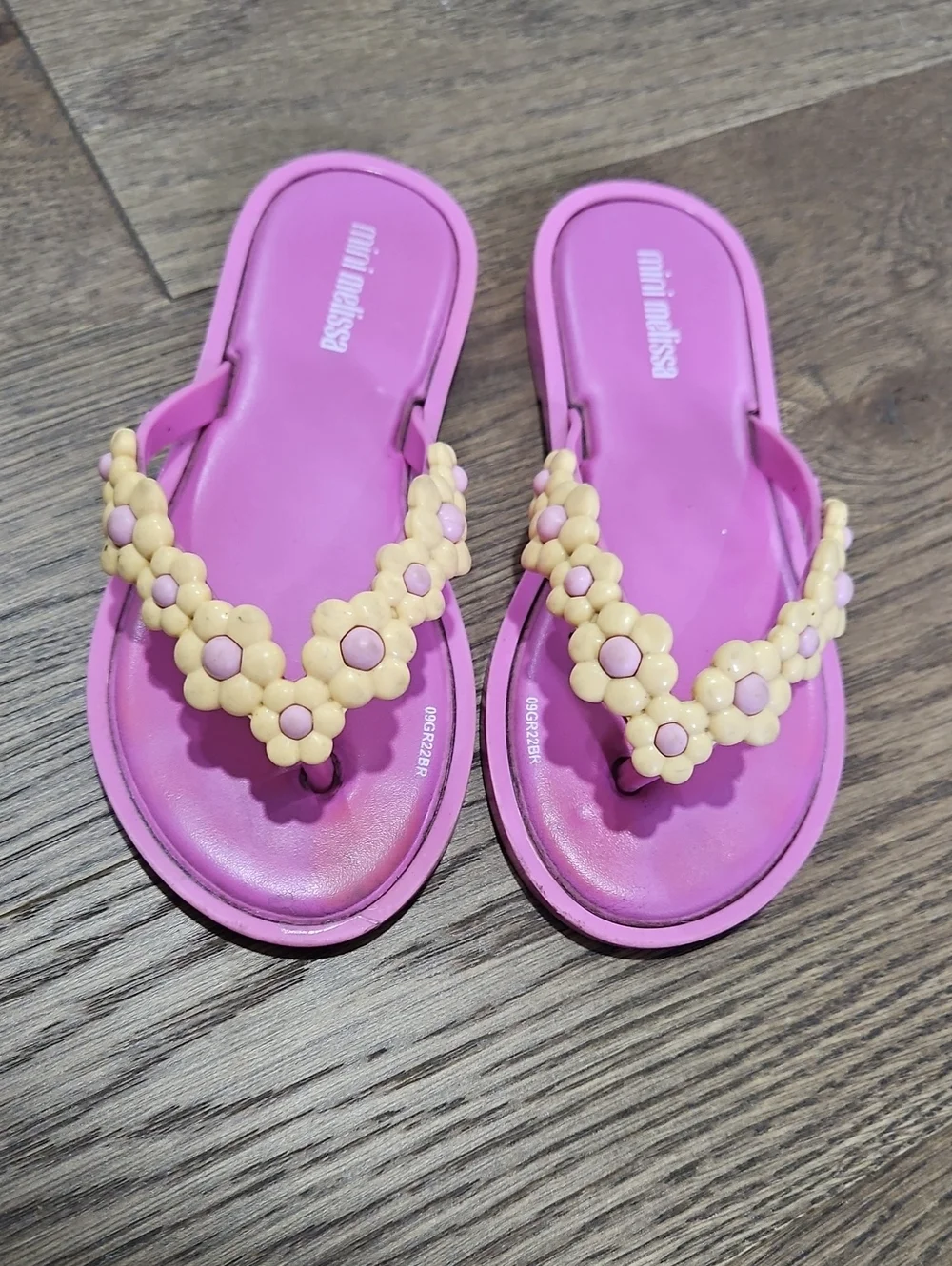 Mini MELISSA